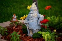 Garden Gnome